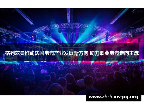 格列兹曼推动法国电竞产业发展新方向 助力职业电竞走向主流 格列兹曼推动法国电竞产业发展新方向 助力职业电竞走向主流