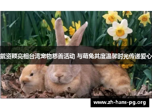 戴资颖亮相台湾宠物慈善活动 与萌兔共度温馨时光传递爱心 戴资颖亮相台湾宠物慈善活动 与萌兔共度温馨时光传递爱心