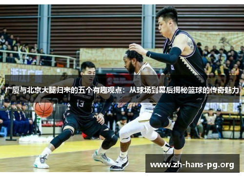 广厦与北京大腿归来的五个有趣观点:从球场到幕后揭秘篮球的传奇魅力 广厦与北京大腿归来的五个有趣观点:从球场到幕后揭秘篮球的传奇魅力