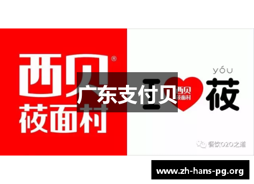 广东支付贝 广东支付贝
