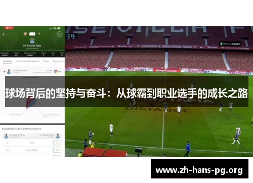 球场背后的坚持与奋斗：从球霸到职业选手的成长之路
