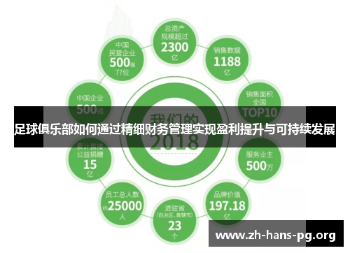 足球俱乐部如何通过精细财务管理实现盈利提升与可持续发展 足球俱乐部如何通过精细财务管理实现盈利提升与可持续发展