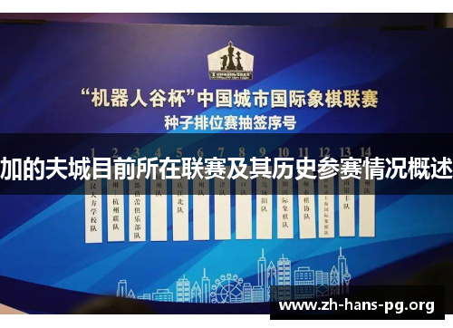 加的夫城目前所在联赛及其历史参赛情况概述 加的夫城目前所在联赛及其历史参赛情况概述